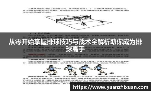 DB旗舰首页