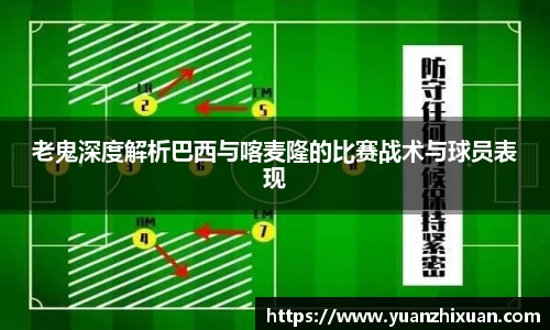 DB旗舰首页
