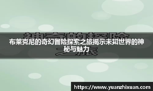 DB旗舰官网