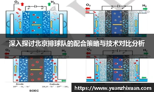 深入探讨北京排球队的配合策略与技术对比分析